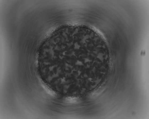 X0000090860065200707271238