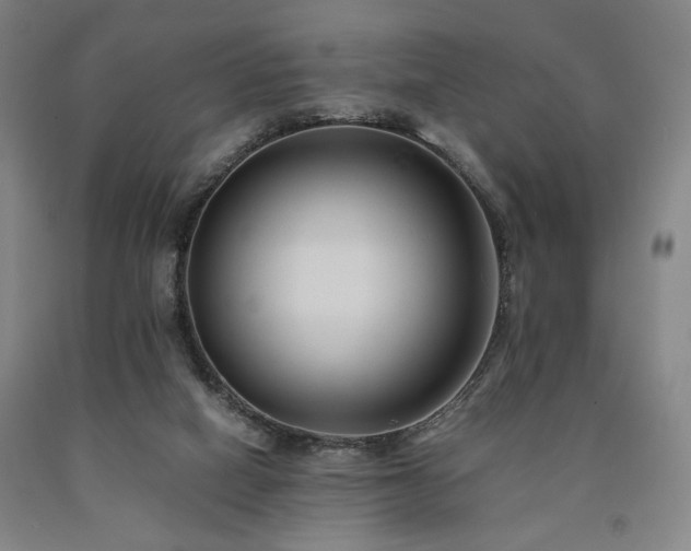 X0000090860066200707271238
