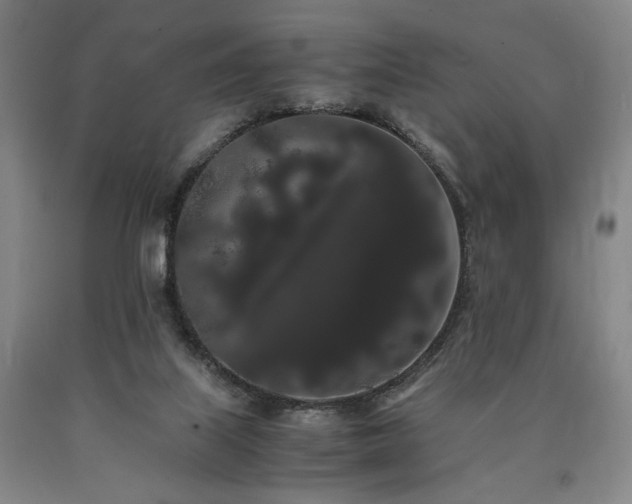 X0000090860067200707271238
