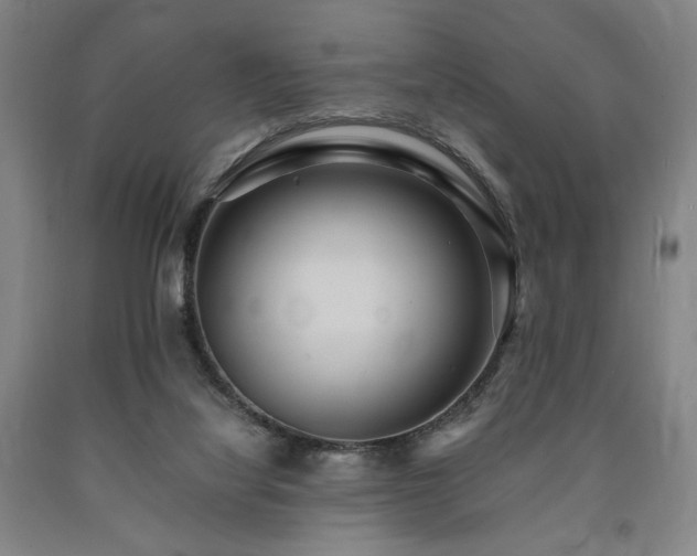 X0000090860068200707271238