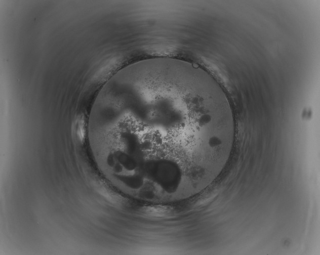 X0000090860069200707271238