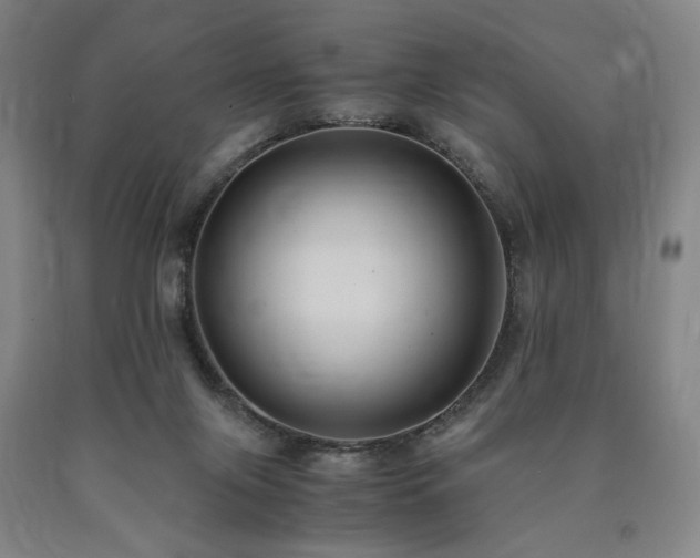 X0000090860071200707271238