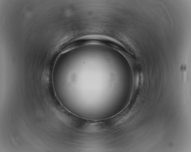 X0000090860072200707271238