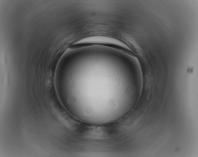 X0000090860073200707271238