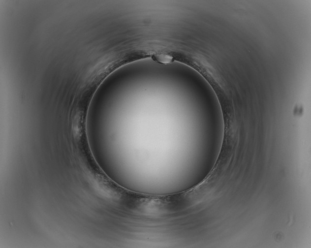 X0000090860074200707271238