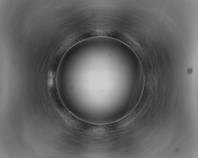 X0000090860075200707271238