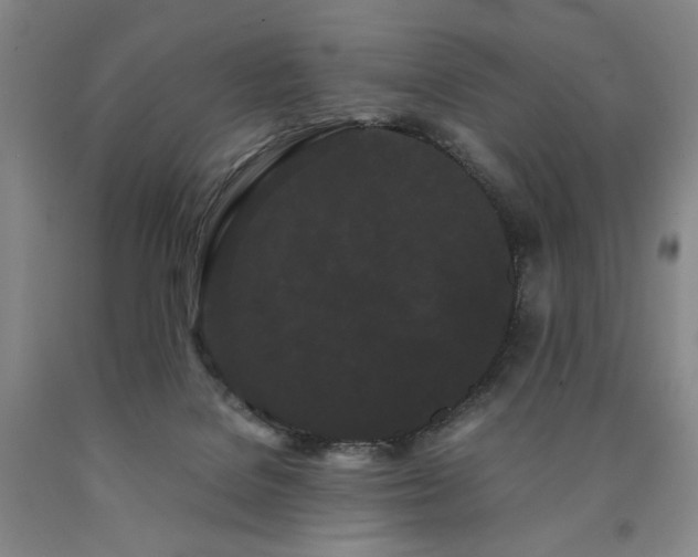 X0000090860076200707271238
