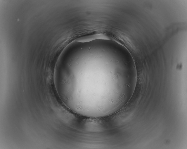 X0000090860077200707271238