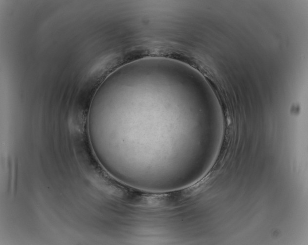 X0000090860078200707271238