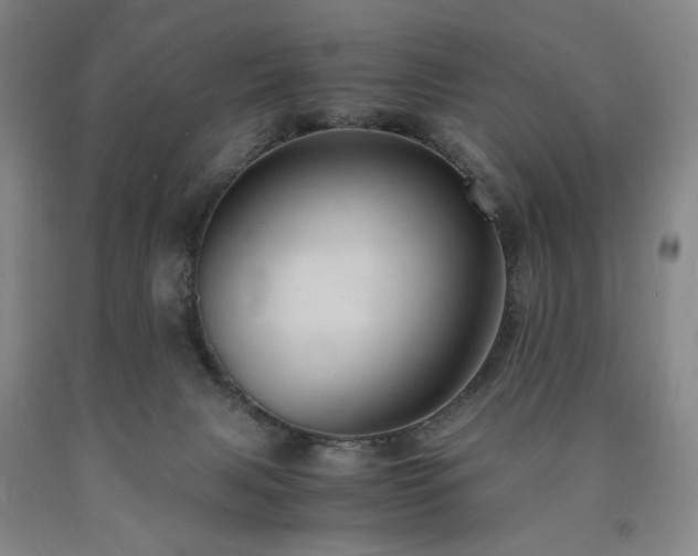X0000090860079200707271238