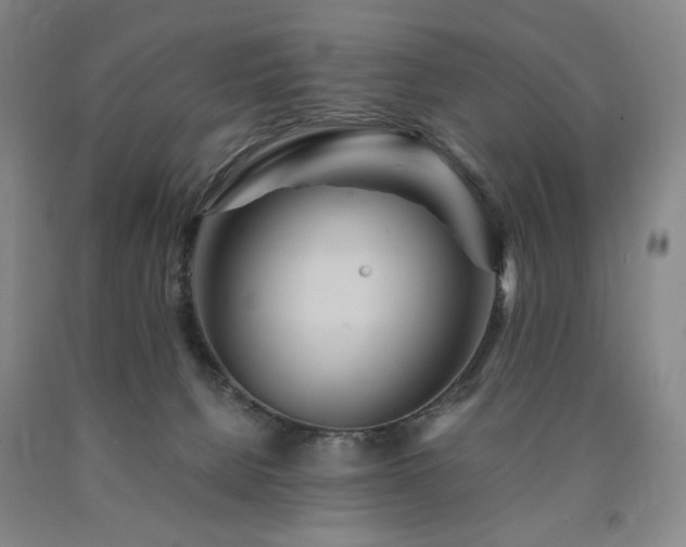X0000090860080200707271238