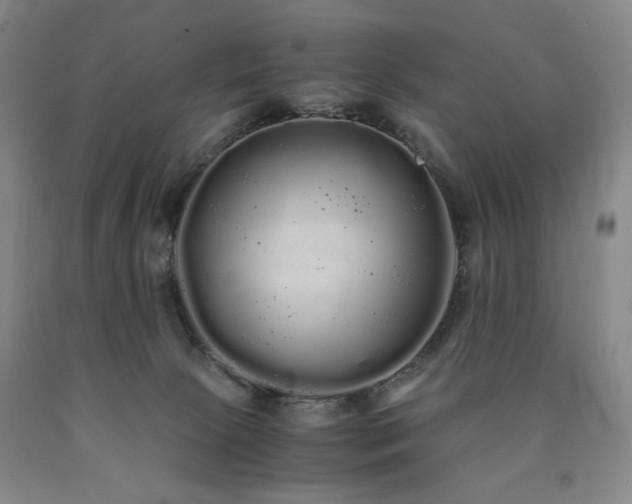 X0000090860081200707271238