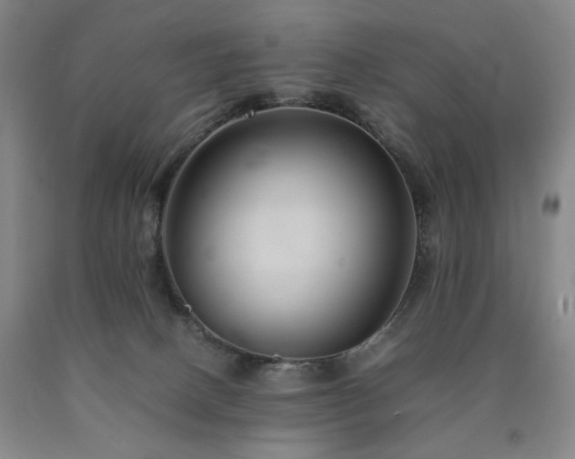 X0000090860082200707271238