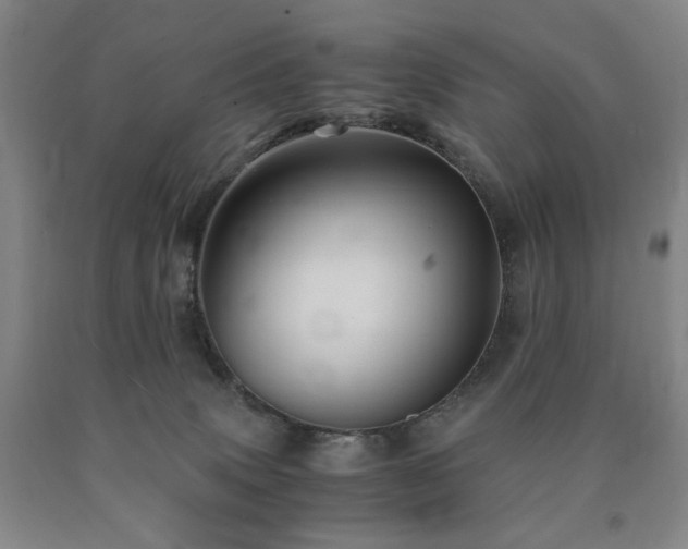X0000090860083200707271238