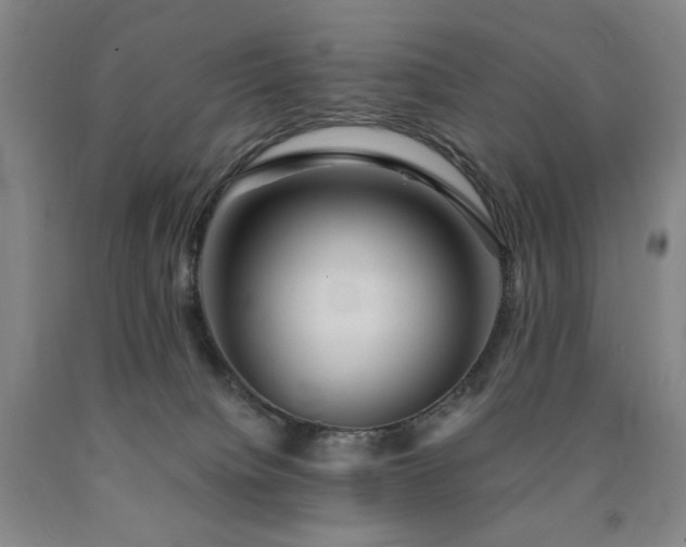 X0000090860084200707271238