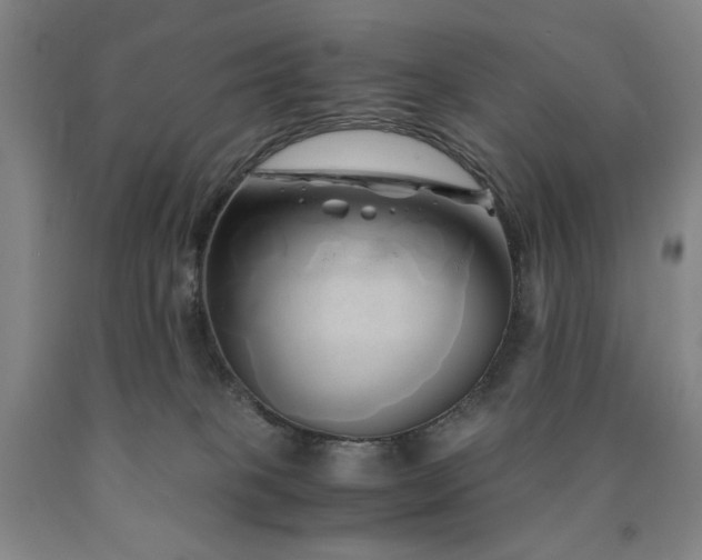 X0000090860085200707271238