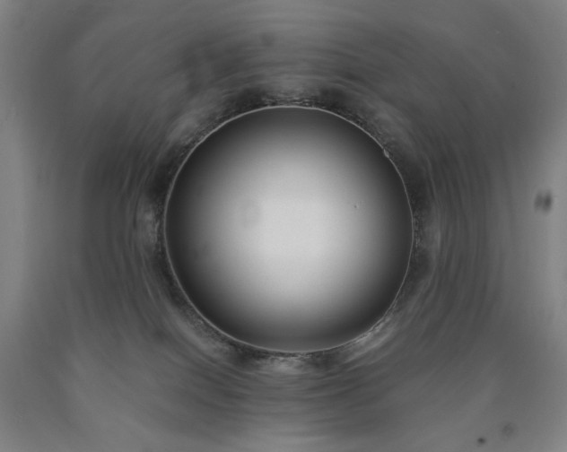 X0000090860086200707271238