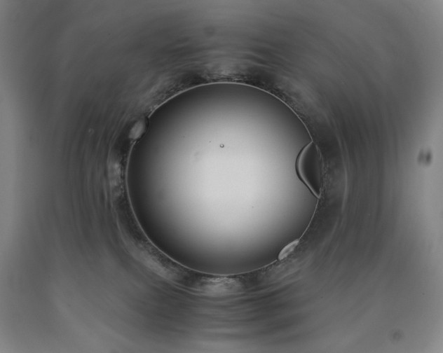 X0000090860087200707271238