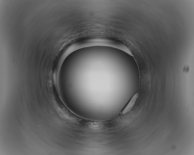 X0000090860088200707271238