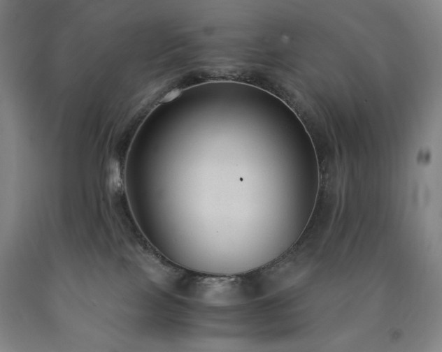 X0000090860089200707271238