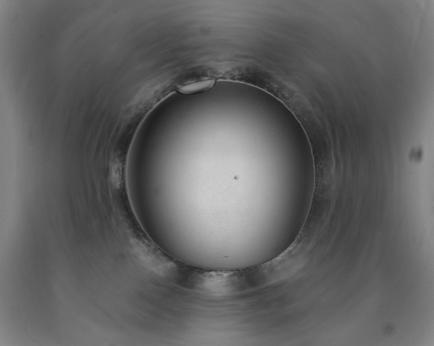 X0000090860090200707271238