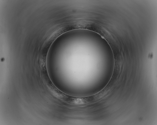 X0000090860091200707271238