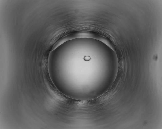 X0000090860092200707271238