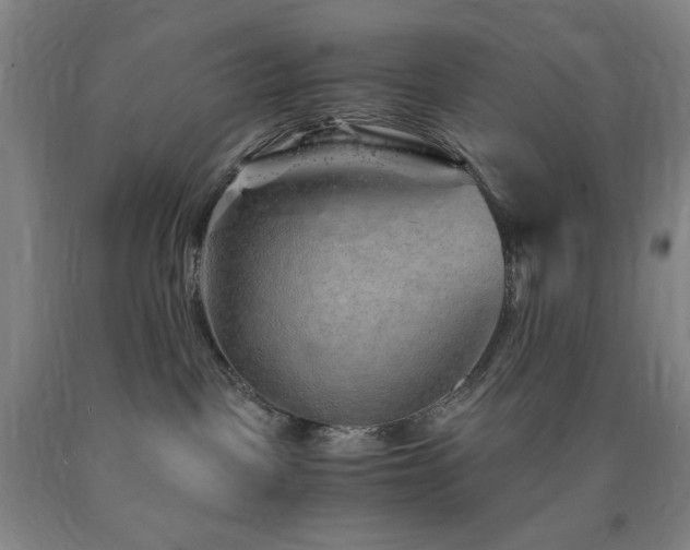 X0000090860093200707271238