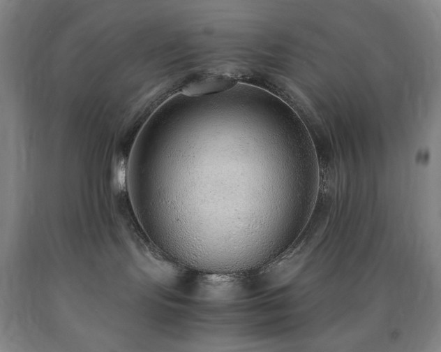 X0000090860095200707271238