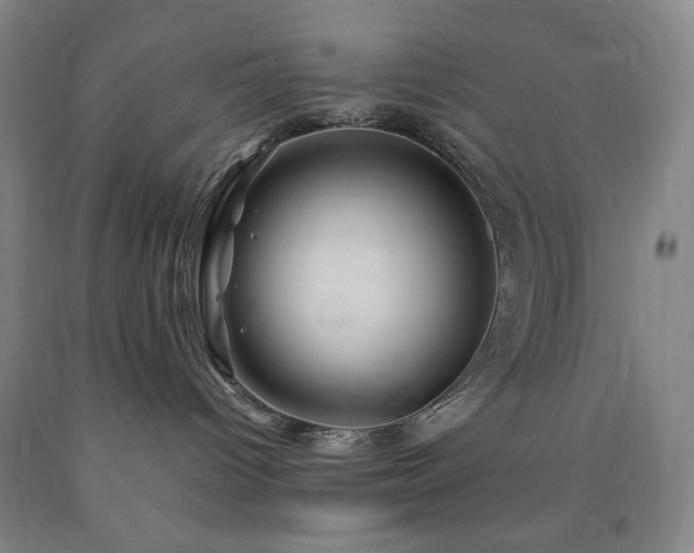 X0000090860096200707271238