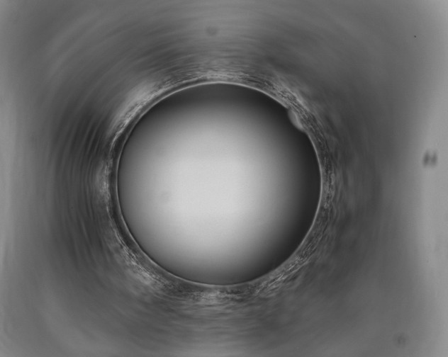 X0000090860098200707271237