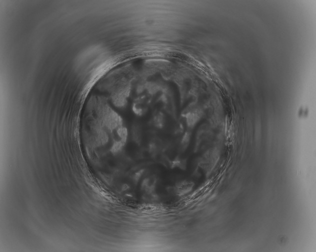 X0000090860099200707271237