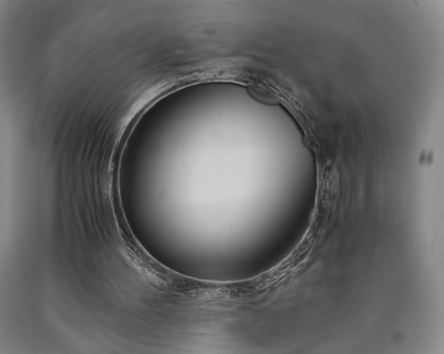 X0000090860100200707271237