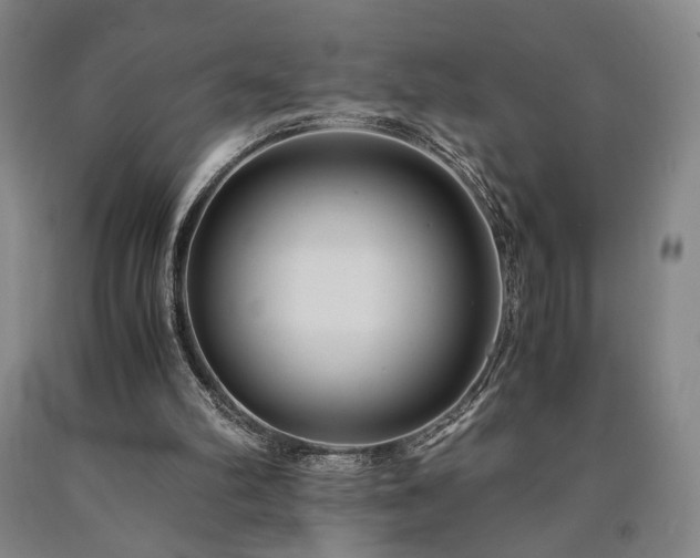 X0000090860102200707271237