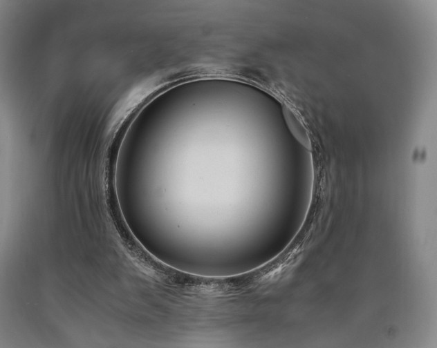 X0000090860103200707271237