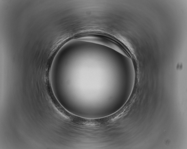 X0000090860105200707271237