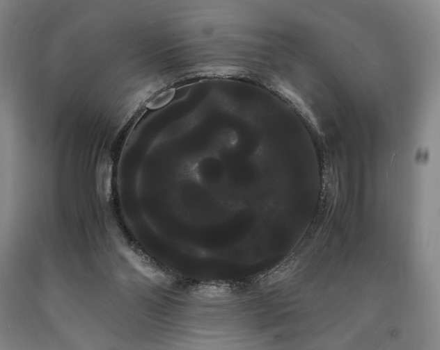 X0000090860110200707271237