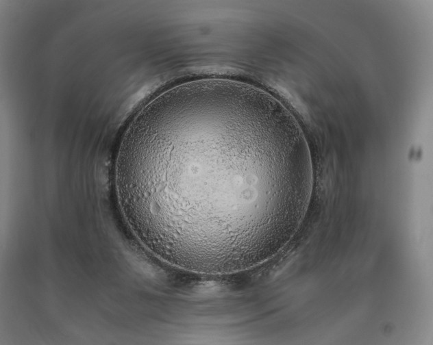 X0000090860111200707271237