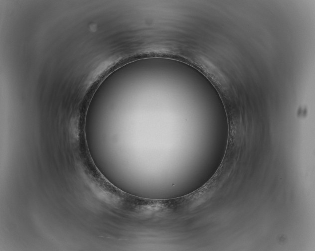 X0000090860112200707271237