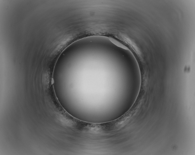 X0000090860113200707271237