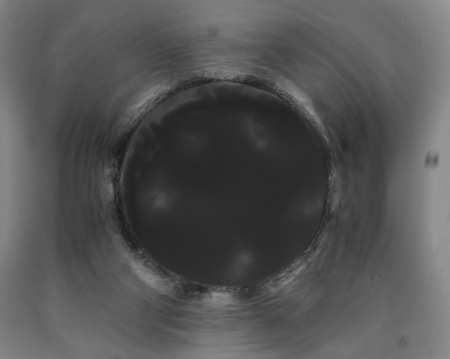 X0000090860114200707271237