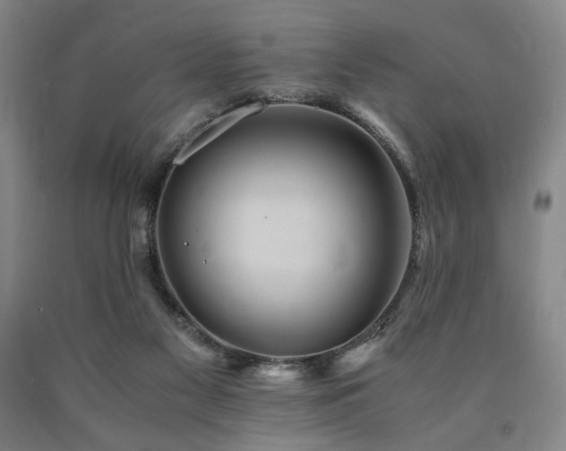 X0000090860117200707271237