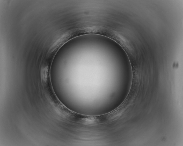 X0000090860118200707271237