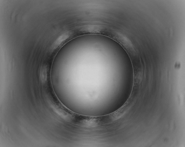 X0000090860120200707271237