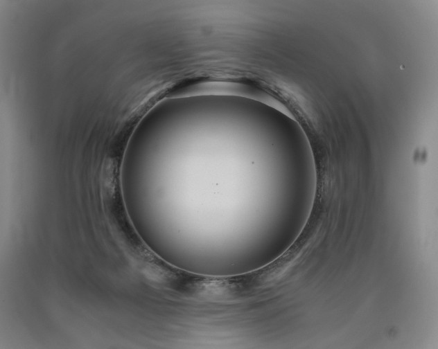 X0000090860121200707271237