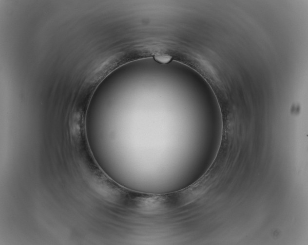 X0000090860122200707271237