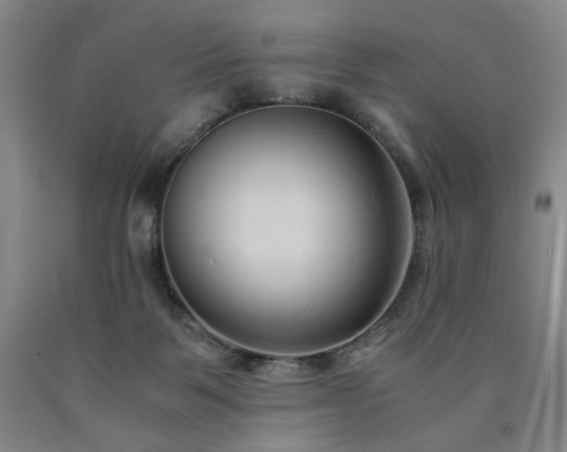 X0000090860123200707271237