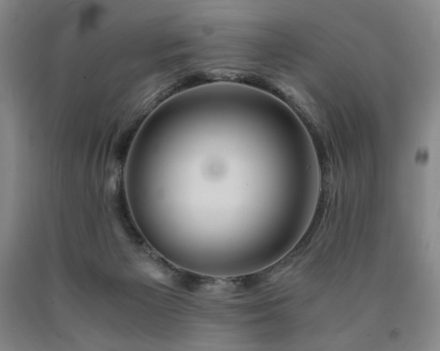 X0000090860125200707271237