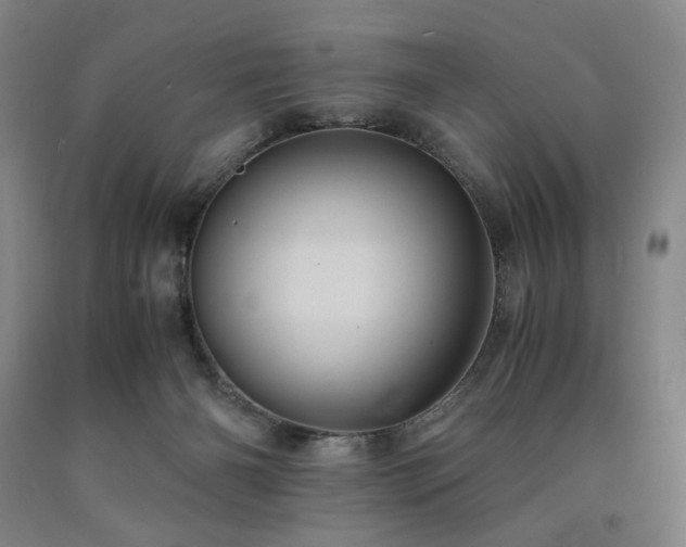 X0000090860126200707271237