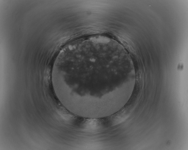 X0000090860127200707271237